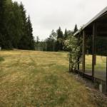 Meadows