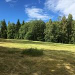 Meadows