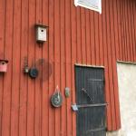 Exterior views